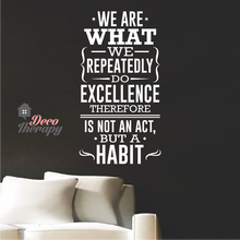 Load image into Gallery viewer, We Are What We Repeatedly Do Wall Sticker